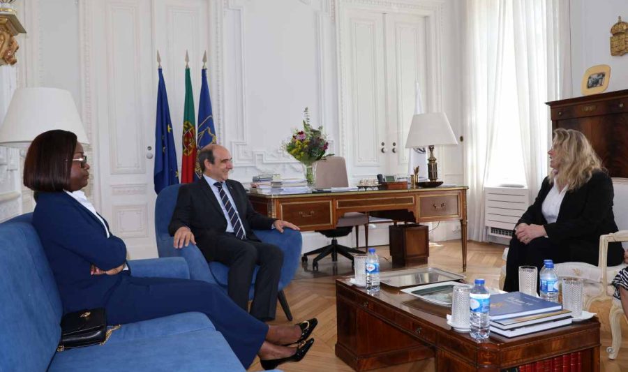 Presidente do Tribunal Administrativo de Moçambique e Vice-Presidente do Supremo Tribunal Administrativo Austríaco