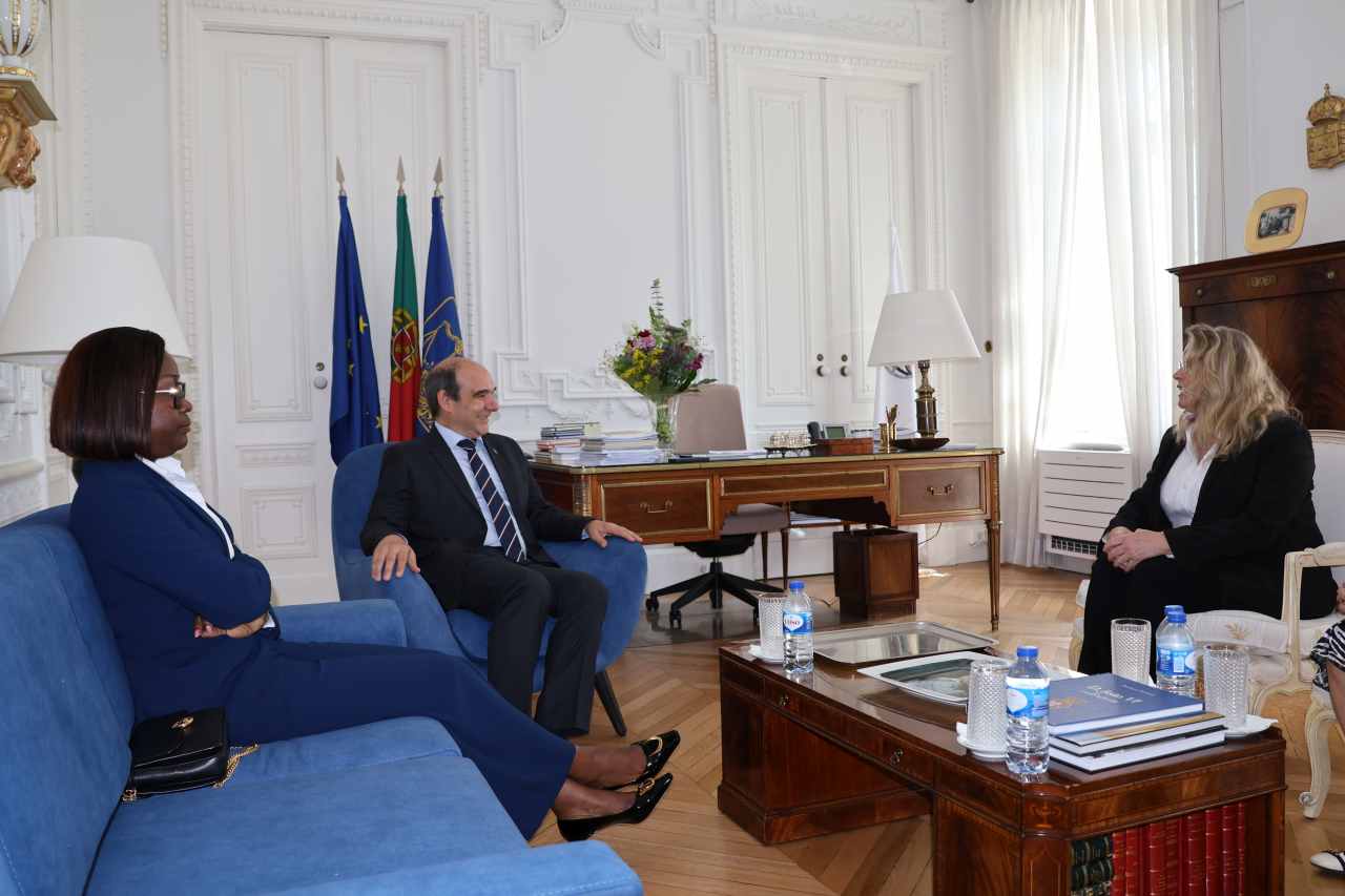 Presidente do Tribunal Administrativo de Moçambique e Vice-Presidente do Supremo Tribunal Administrativo Austríaco